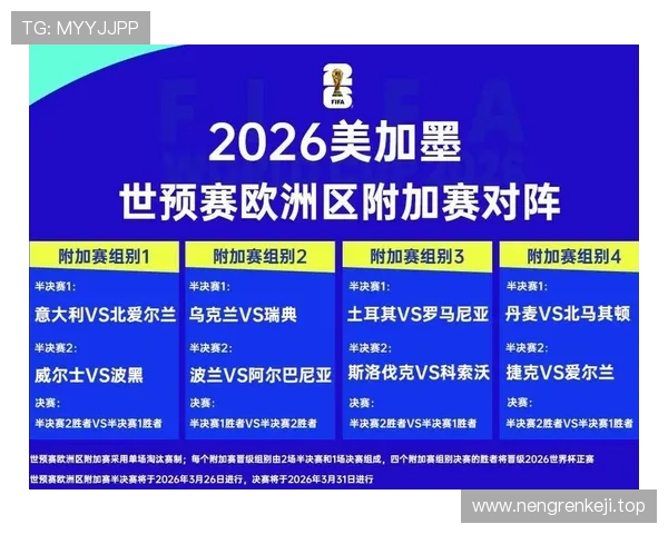 2026世界杯完整版排名决定解析